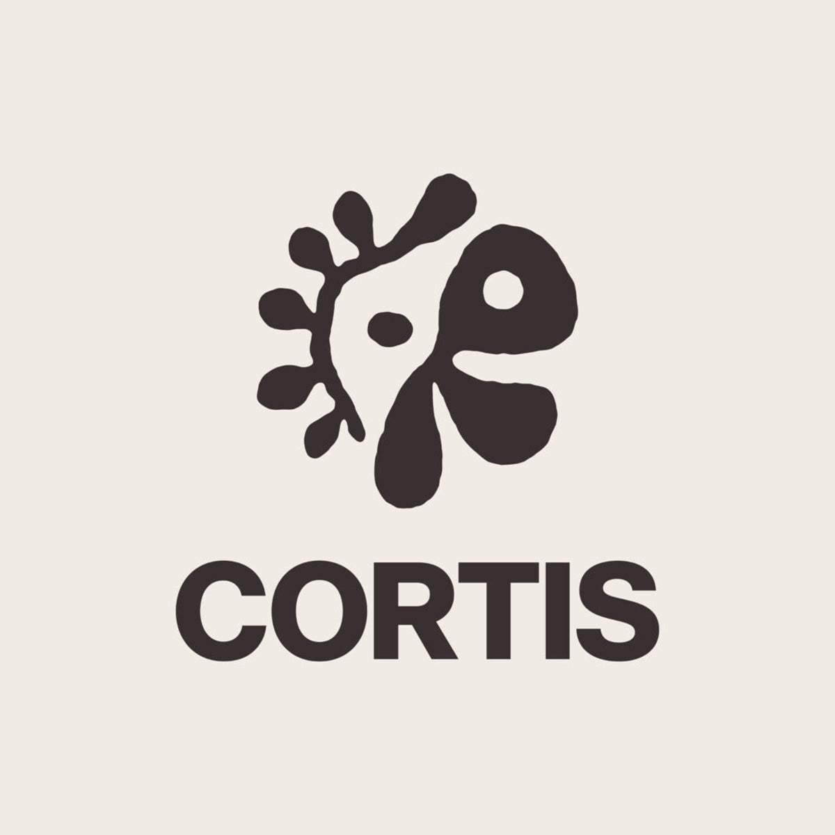 CORTIS – KSENDY Official K-Pop Shop