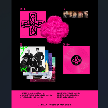 TXT - 7TH YEAR : A Moment of Stillness in the Thorns 展 8th Mini Album CUSHION OF THORNS Ver