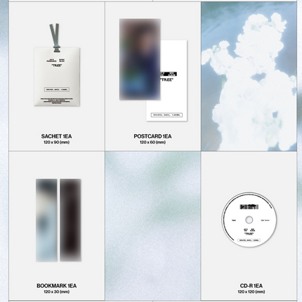 JAY B - TR.EE 3rd Mini Album INTERLUDE Ver