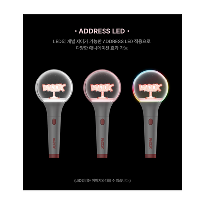 LEE DONG WOOK - Official Light Stick