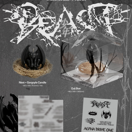 ALPHA DRIVE ONE - UNBREAKABLE : 少年BEAST 2nd Mini album Nest Ver. Candle Ver.