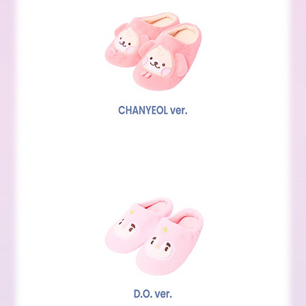 EXO - Official MD ROOM SHOES