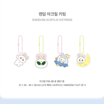 Park Eun Bin - FAN CONCERT [BINING] Official MD Random Acrylic Keyring