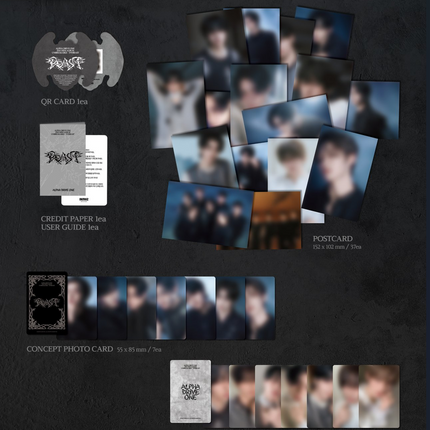 [SALE] ALPHA DRIVE ONE - UNBREAKABLE : 少年BEAST 2nd Mini album POSTCARD Ver.
