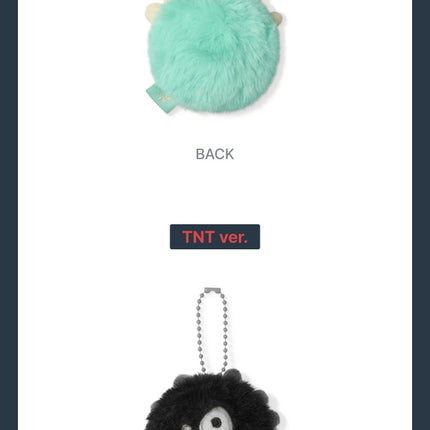 CORTIS - Official MD Mini CORTIS Ball Keyring (Ver Selection / Set)