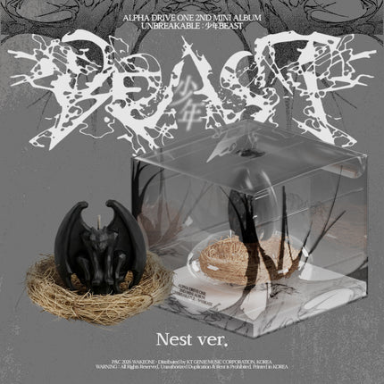 ALPHA DRIVE ONE - UNBREAKABLE : 少年BEAST 2nd Mini album Nest Ver. Candle Ver.