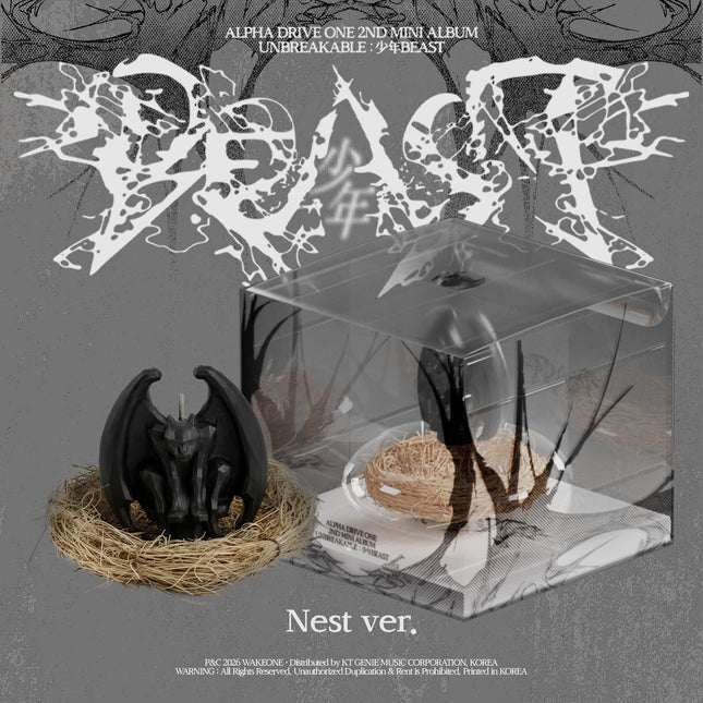 ALPHA DRIVE ONE - UNBREAKABLE : 少年BEAST 2nd Mini album Nest Ver. Candle Ver.