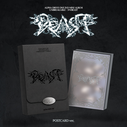 [SALE] ALPHA DRIVE ONE - UNBREAKABLE : 少年BEAST 2nd Mini album POSTCARD Ver.